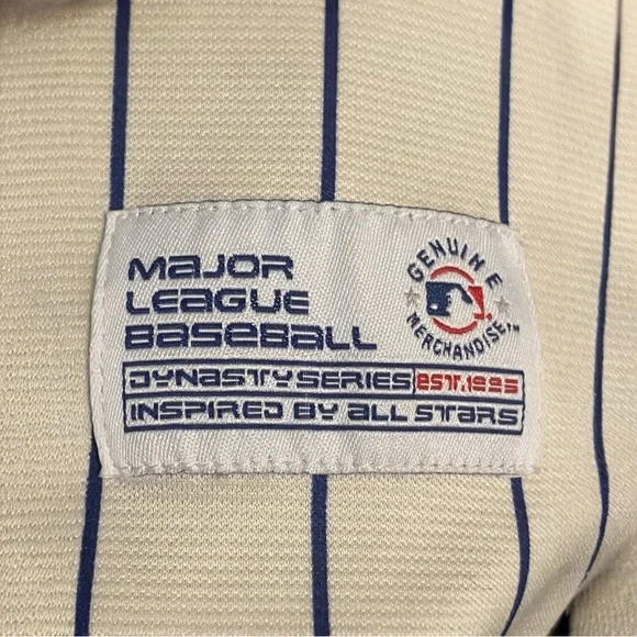 Astros Vintage Retropinstripe jersey Coopertown collection